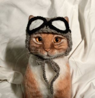 Cat hat for cat lovers Cat hat for cat lovers