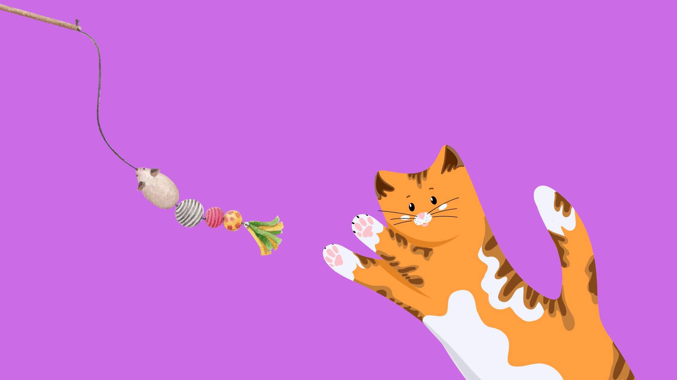 19 Purr-fect Gifts for Cat Lovers 1 Cat lovers gifts 1