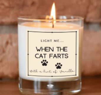 funny cat candle cat lover gift funny cat candle cat lover gift