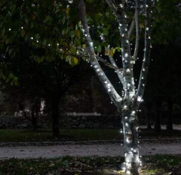 bonfire gifts lights